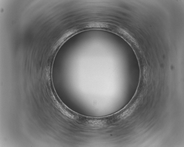 X0000067951033200604171430