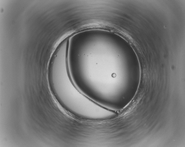 X0000067951034200604171430