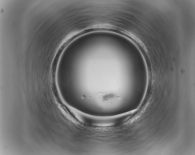 X0000067951037200604171430