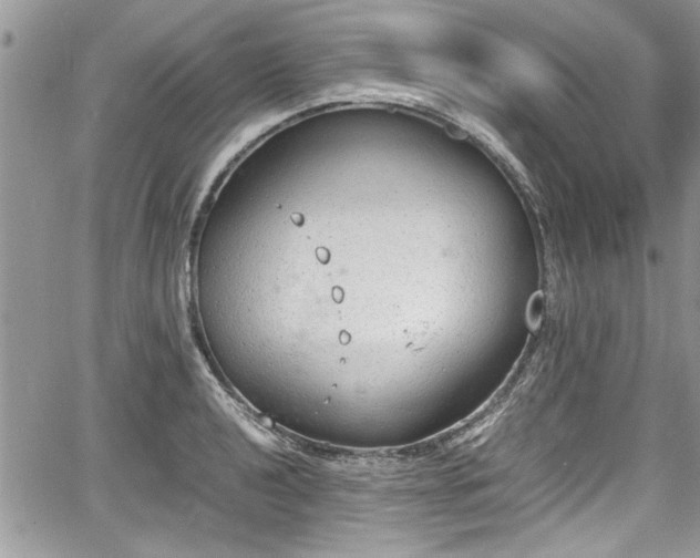 X0000067951040200604171430