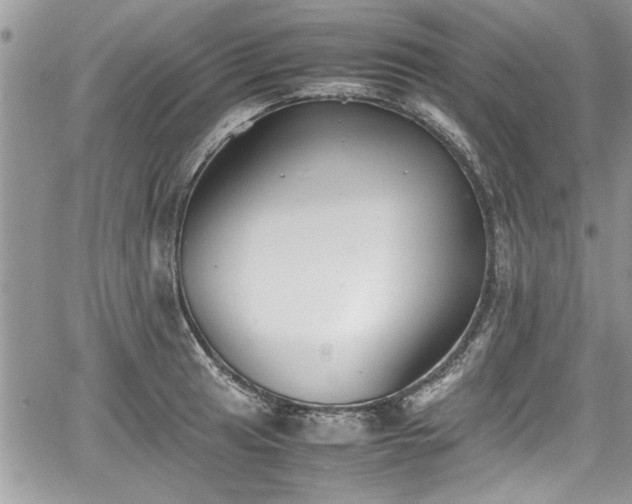 X0000067951041200604171430