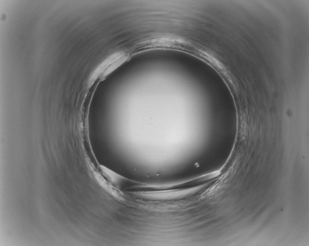 X0000067951042200604171430