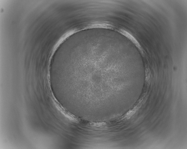 X0000067951043200604171430