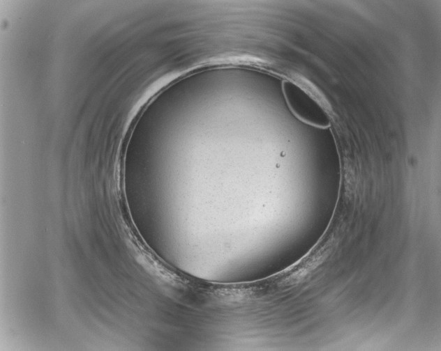 X0000067951044200604171430