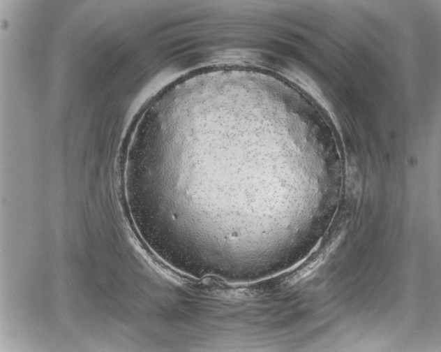 X0000067951045200604171430