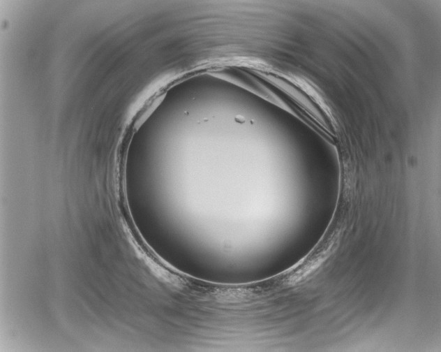 X0000067951046200604171430