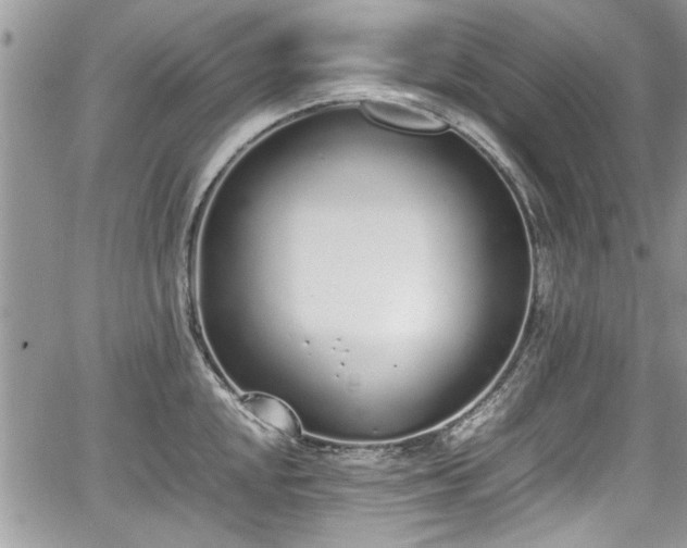 X0000067951048200604171430