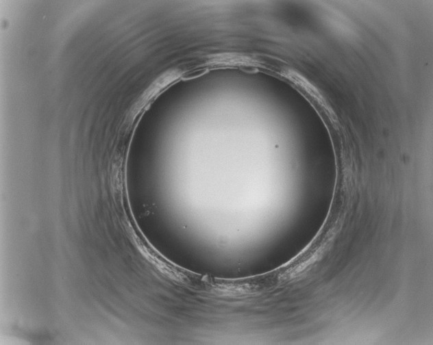 X0000067951049200604171430