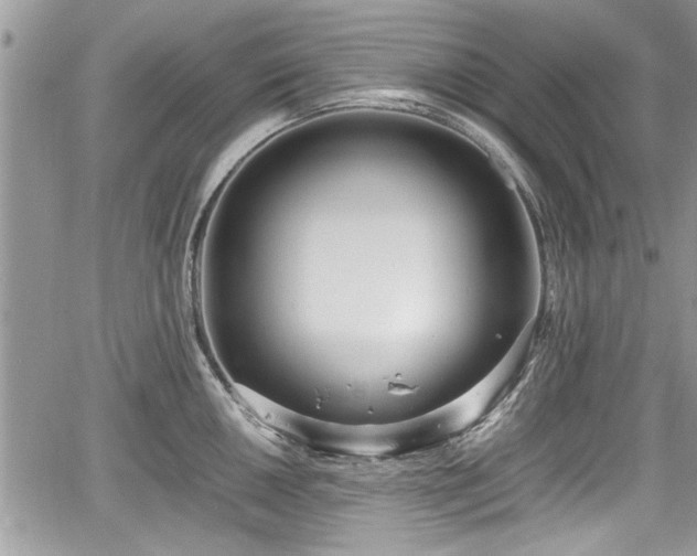 X0000067951050200604171430