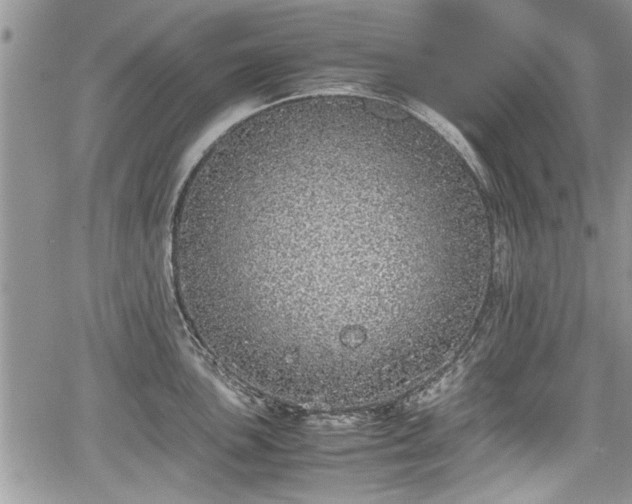 X0000067951051200604171430