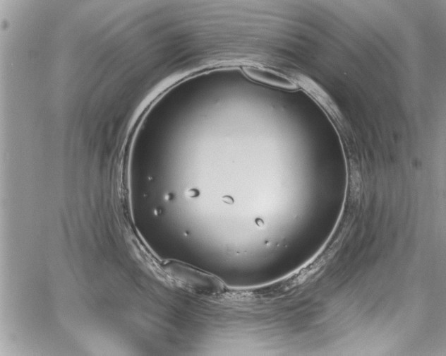 X0000067951052200604171430