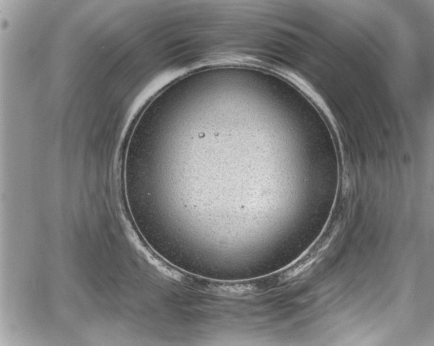 X0000067951053200604171430