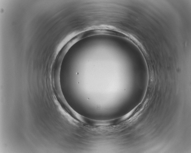 X0000067951054200604171430