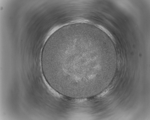 X0000067951055200604171430