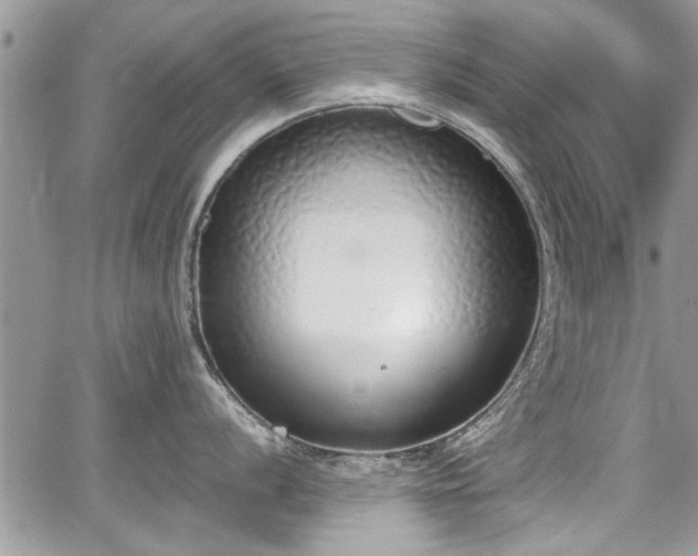 X0000067951056200604171430