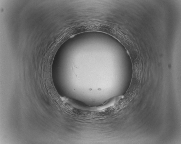 X0000067951057200604171430