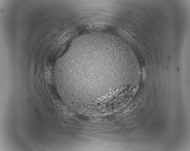 X0000067951059200604171430