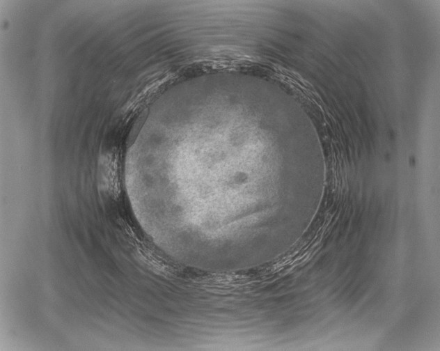 X0000067951060200604171430