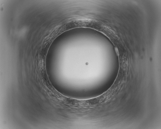 X0000067951061200604171430