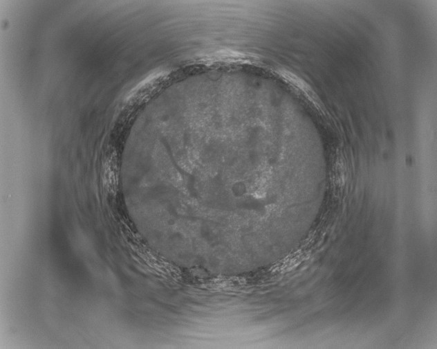 X0000067951063200604171430