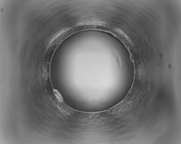 X0000067951064200604171430