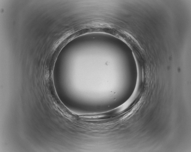 X0000067951065200604171429