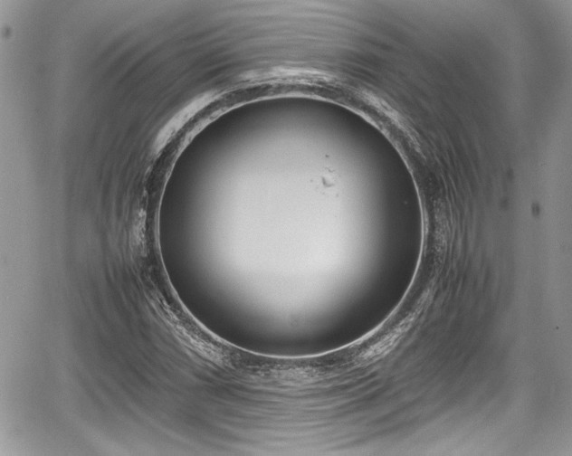 X0000067951066200604171429