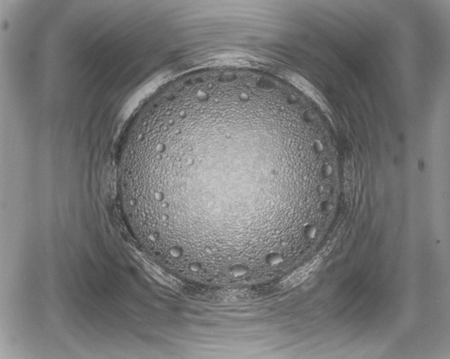 X0000067951067200604171429