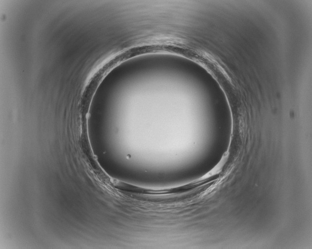 X0000067951069200604171429