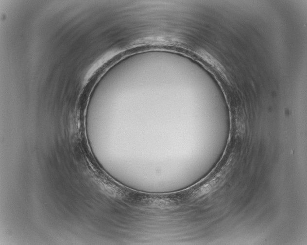 X0000067951070200604171429