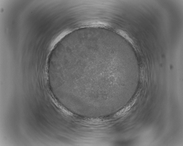 X0000067951071200604171429