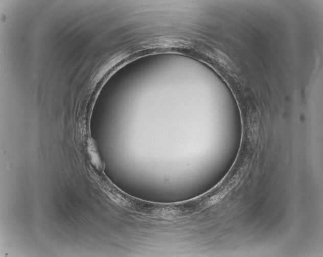 X0000067951073200604171429