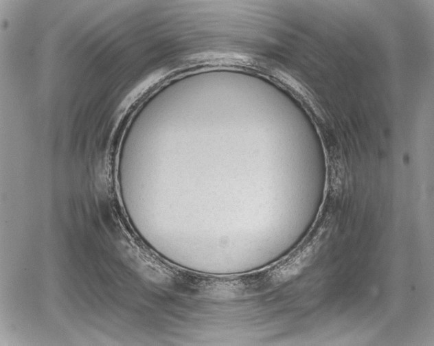 X0000067951074200604171429