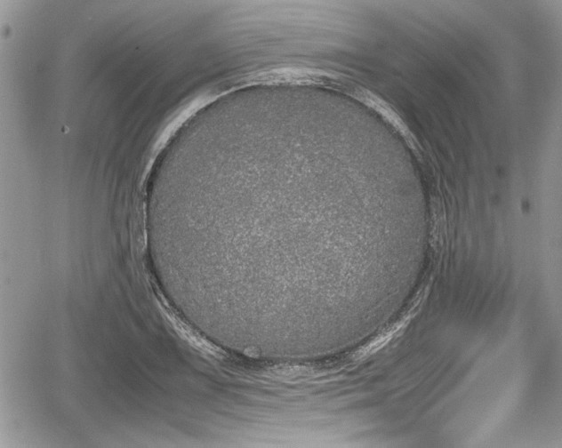 X0000067951075200604171429