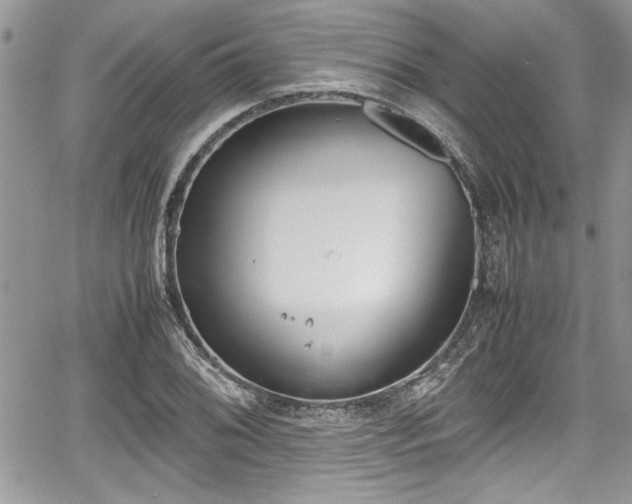 X0000067951076200604171429