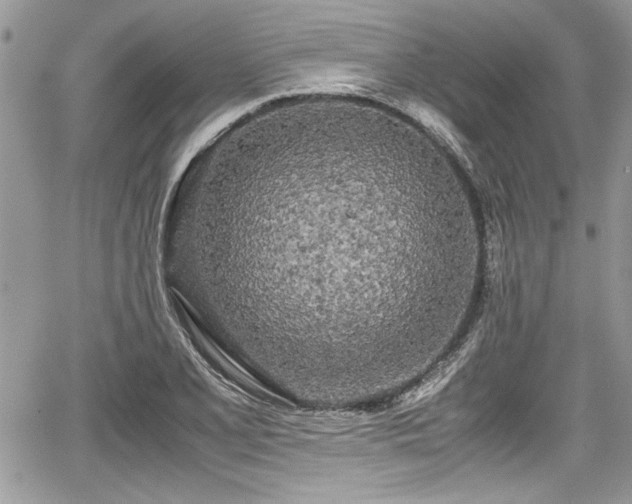 X0000067951077200604171429