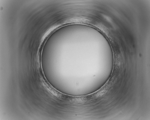 X0000067951078200604171429