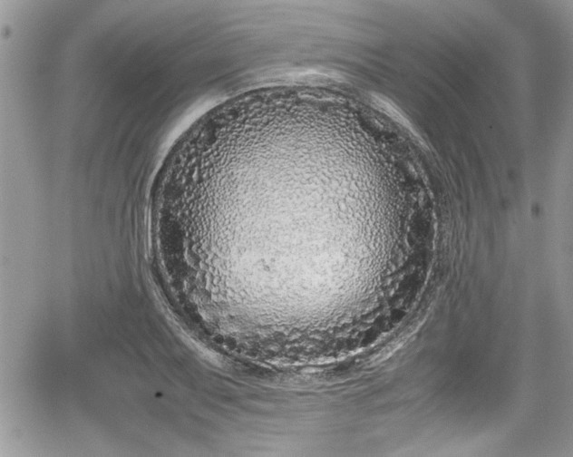 X0000067951079200604171429