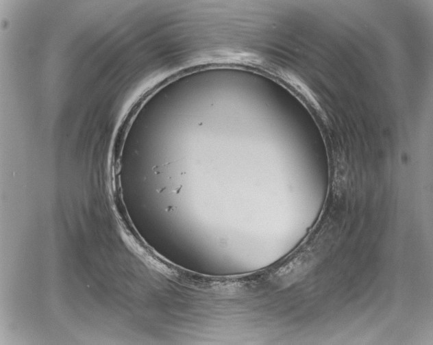 X0000067951080200604171429