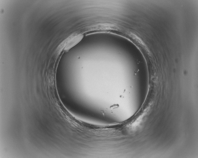 X0000067951081200604171429