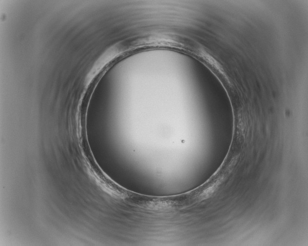 X0000067951082200604171429