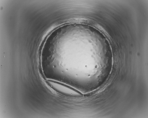 X0000067951083200604171429