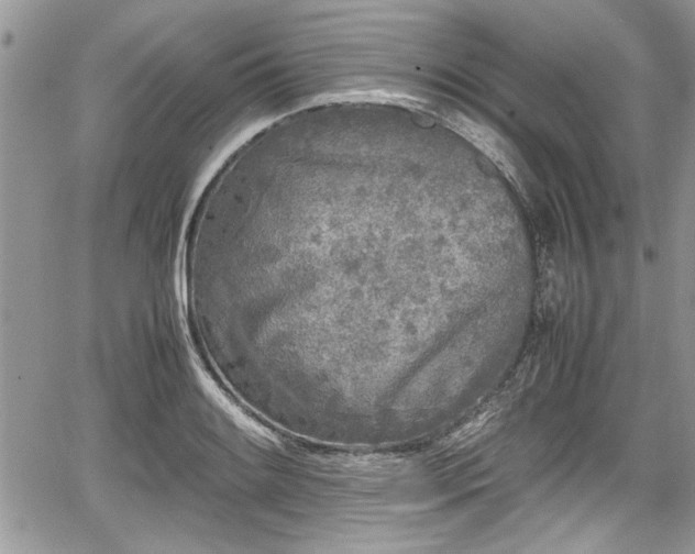 X0000067951084200604171429