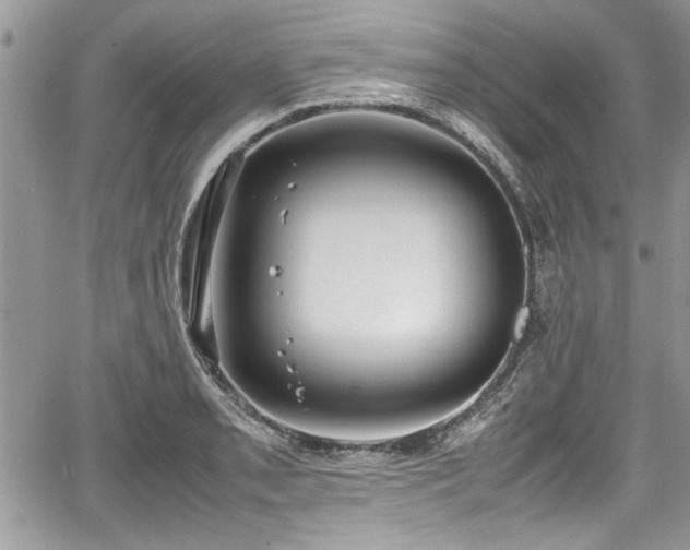 X0000067951085200604171429