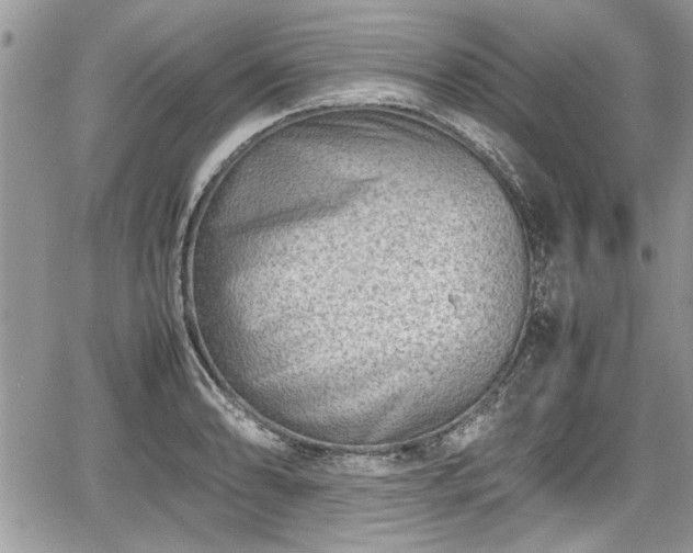 X0000067951086200604171429