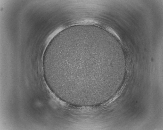 X0000067951087200604171429