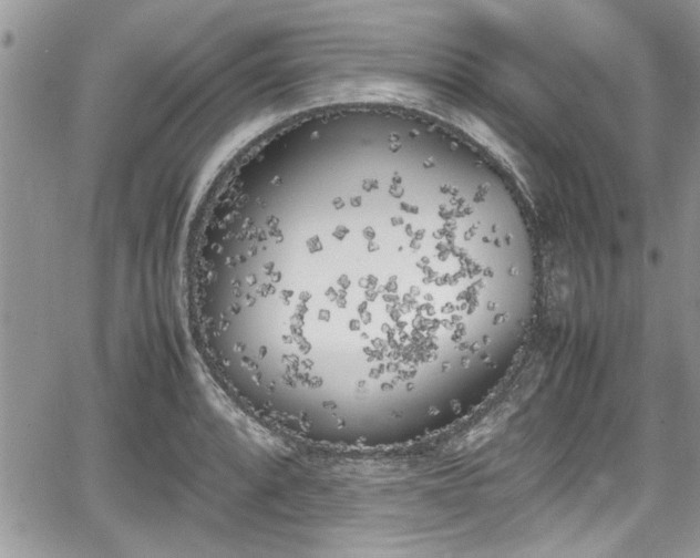 X0000067951088200604171429