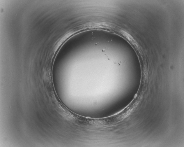 X0000067951089200604171429