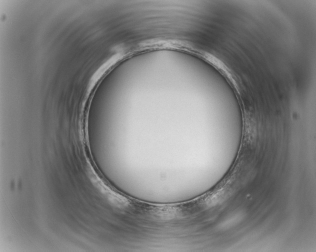 X0000067951090200604171429