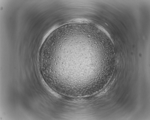 X0000067951091200604171429